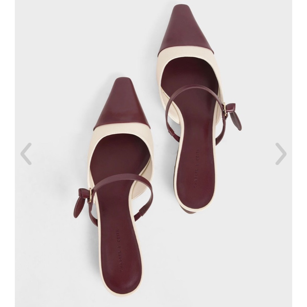 Charles & Keith Mary Jane Strap Flat Mule
